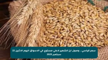 سعر قياسي.. وصول أرز الشعير لأعلى مستوى في الأسواق اليوم الاثنين 22 سبتمبر 2025